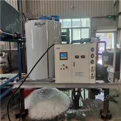 天津直冷式块冰机  颗粒制冰机 中型淡水片冰机  厂家批发 极力制冷