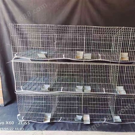 铁丝养殖笼 仔母兔笼组装 三层育成兔笼 商品兔笼