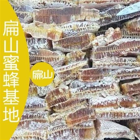 福建福州宁德蜜蜂养殖基地技术培训(龙岩蜜群管理育王野生蜂蜜技术学习班)