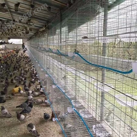 厂家子母兔笼 3层12位兔笼子 养殖新型竹地板兔笼