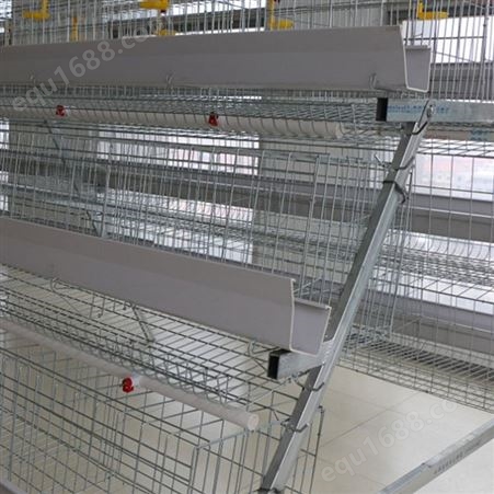 厂家 层叠阶梯式鸡笼 肉鸡养殖笼设备 推拉门式蛋鸡笼