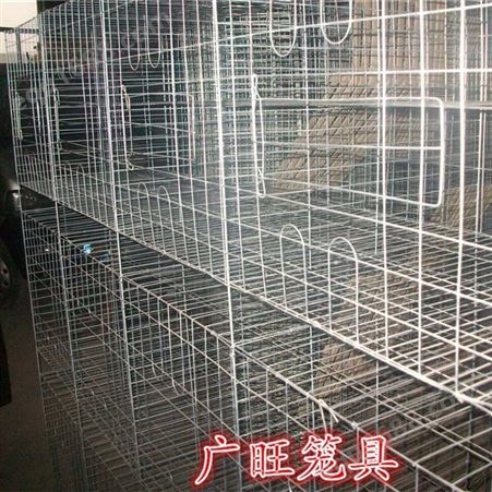 肉鸽养殖设备_广旺_肉鸽笼子_企业生产