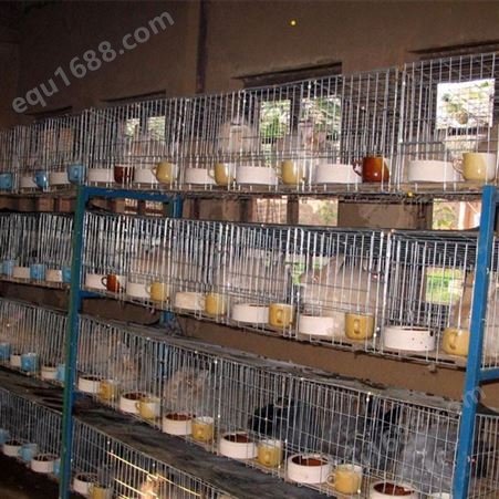 铁丝兔笼 兔笼批发 商品兔笼 肉兔养殖笼子 报价供应