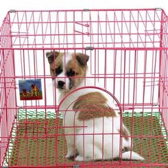 现货大型犬宠物笼 大型金属狗笼 可折叠烤漆狗笼
