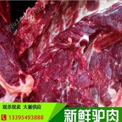 济南 东肃食品 生熟驴肉加工 速冻鲜驴肉 优质货源