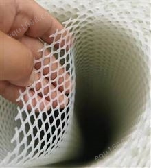厂家供应 食品晾晒加工用 白色 塑胶网 塑料网 塑料平网 规格齐全