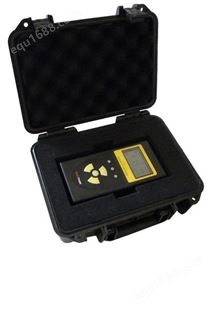 NUCTEST NT6103A型单路在线式辐射监测仪 核辐射报警仪 射线测量仪  带计量认证