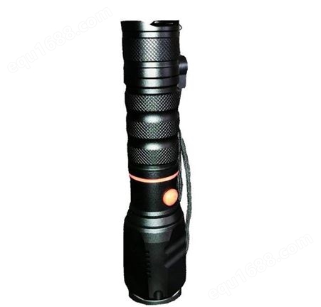 辰工 UVA-365/S手电筒式LED紫外线黑光灯  手持式紫外灯