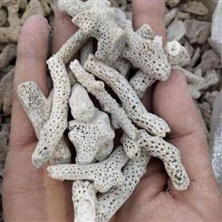 旭昂供应珊瑚砂 景观浴缸用造景珊瑚石水族过滤用 珊瑚骨