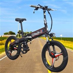 20寸碟刹折叠锂电池电动自行车 36v10a电动自行车