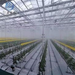 河南三准雾森高压喷雾主机在室内蔬菜大棚里的保湿应用
