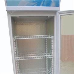 点菜饮料冷藏展示柜 节能微电脑控制 风幕柜