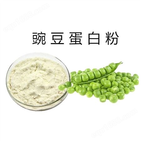 豌豆蛋白粉食品级营养强化剂食品填充剂豌豆蛋白现货供应