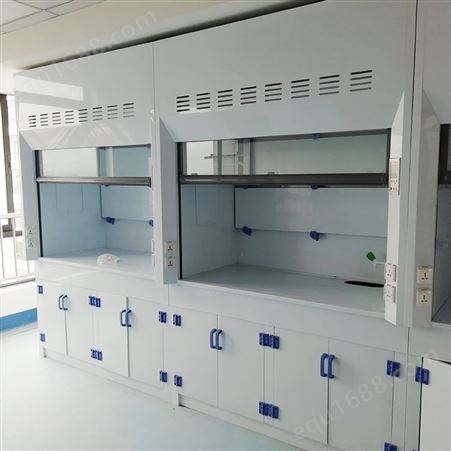 白龙马 实验室家具及设备 pp材质通风柜 支持定制 源头工厂