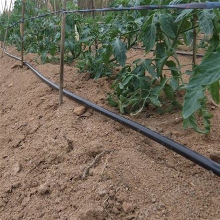 PE管农业排灌用管自来水管 优良材质品质保障发货快 PE盘管  微喷管